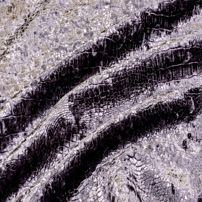 Рептил грей