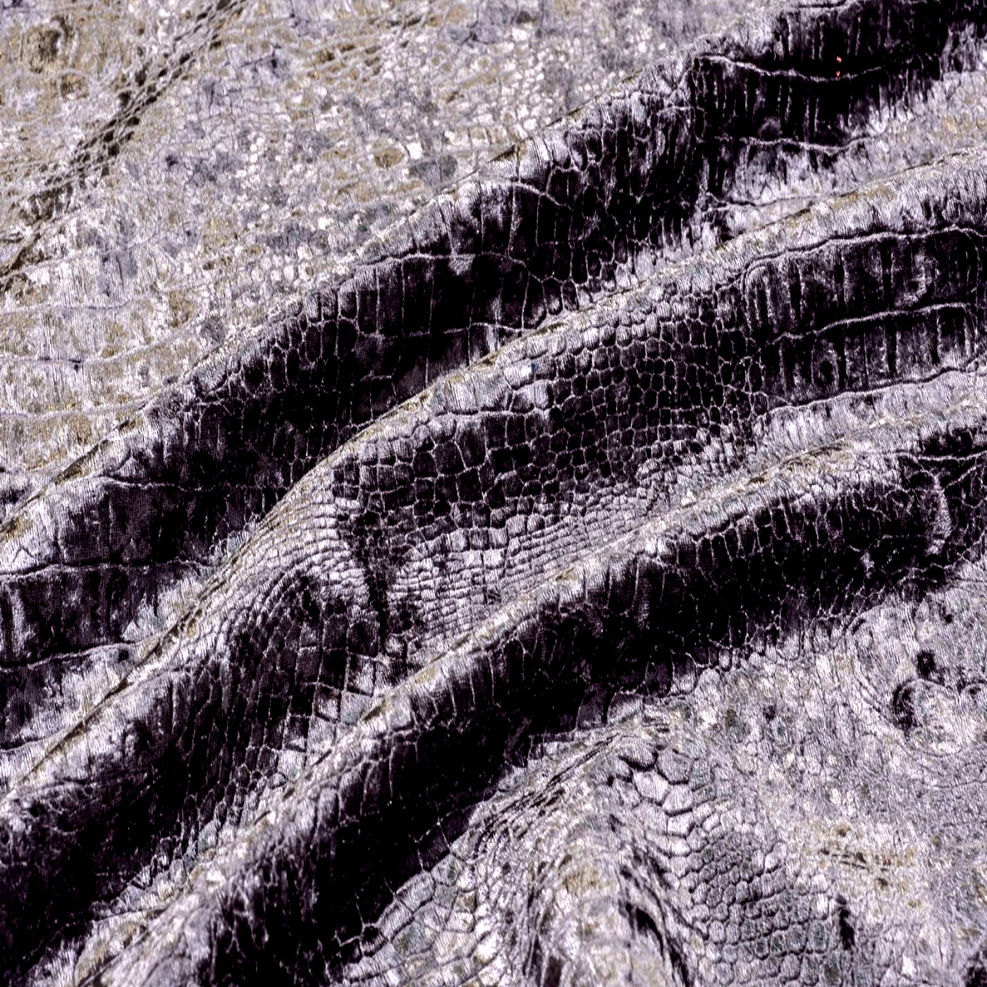 Рептил грей