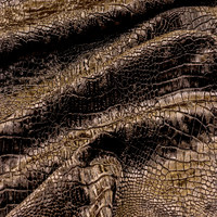 Рептил машрумс_выведена из рабочей коллекции в 2020г.