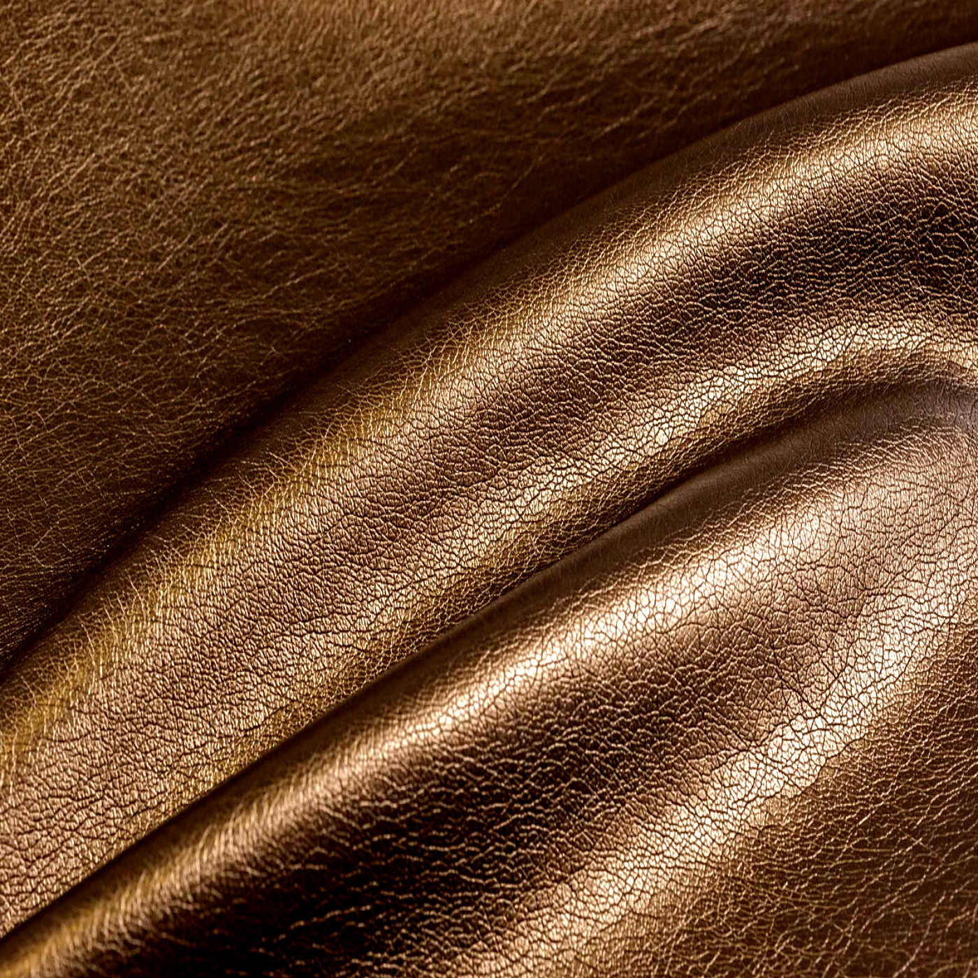 Фиоре шампань