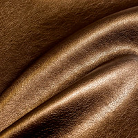 Фиоре шампань