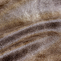 Сахара сильвер