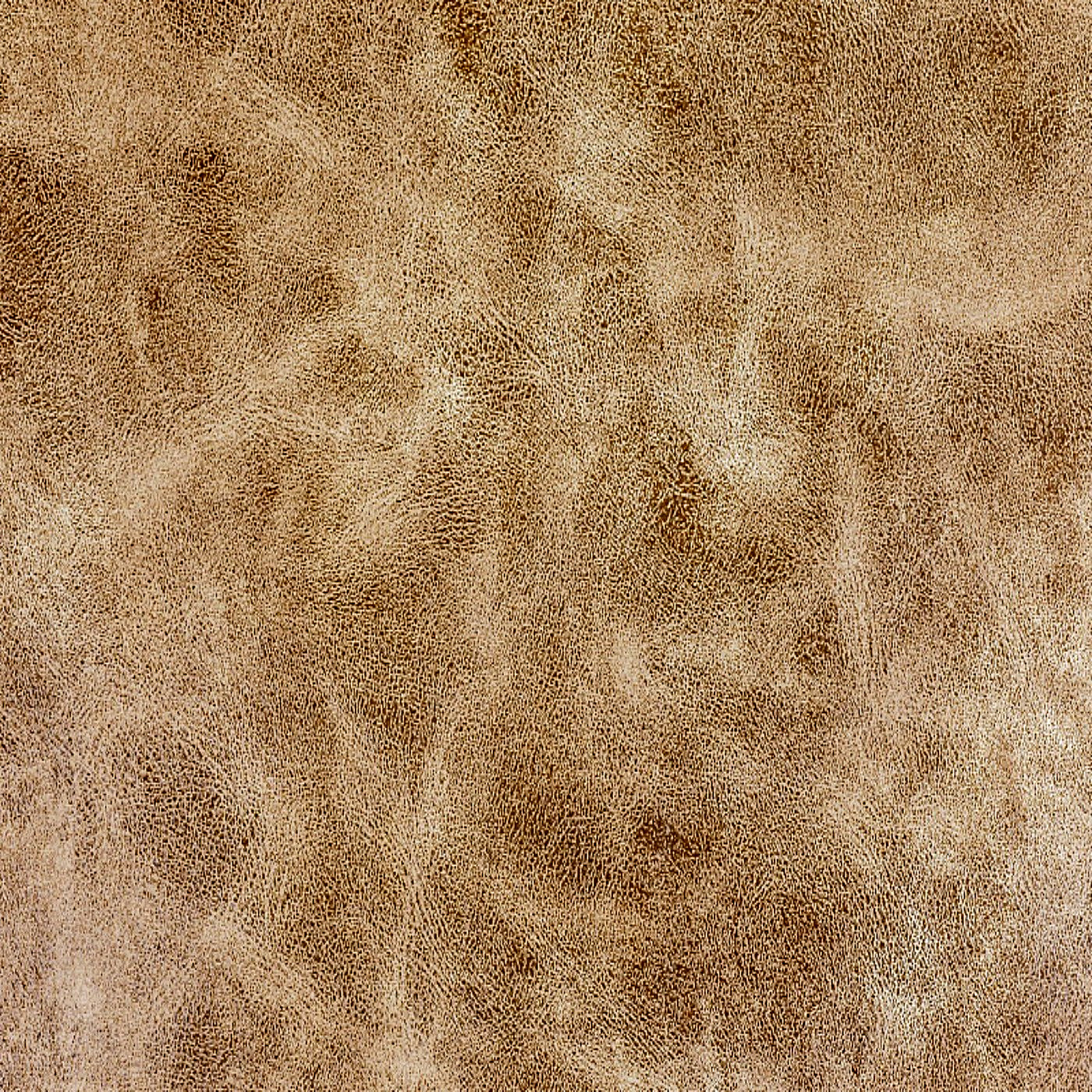 Сахара милк