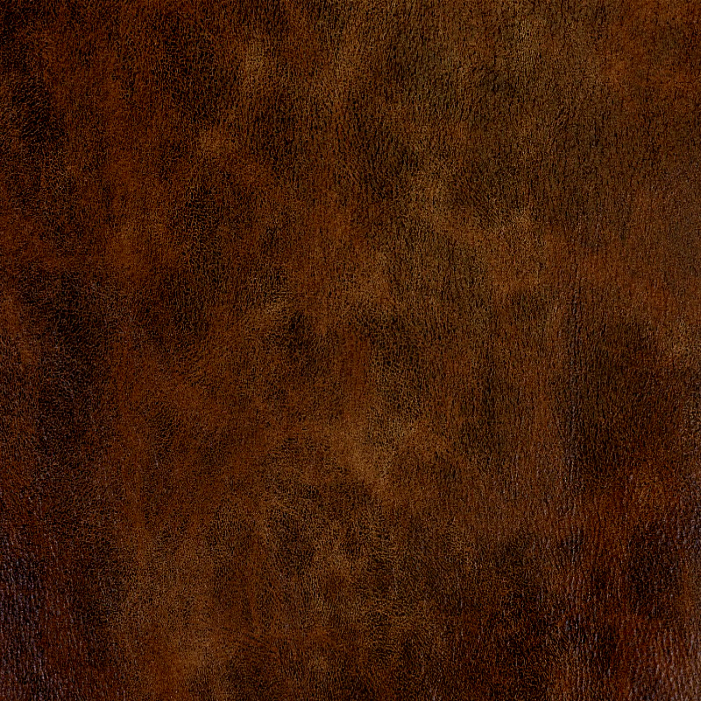 Сахара шоколад