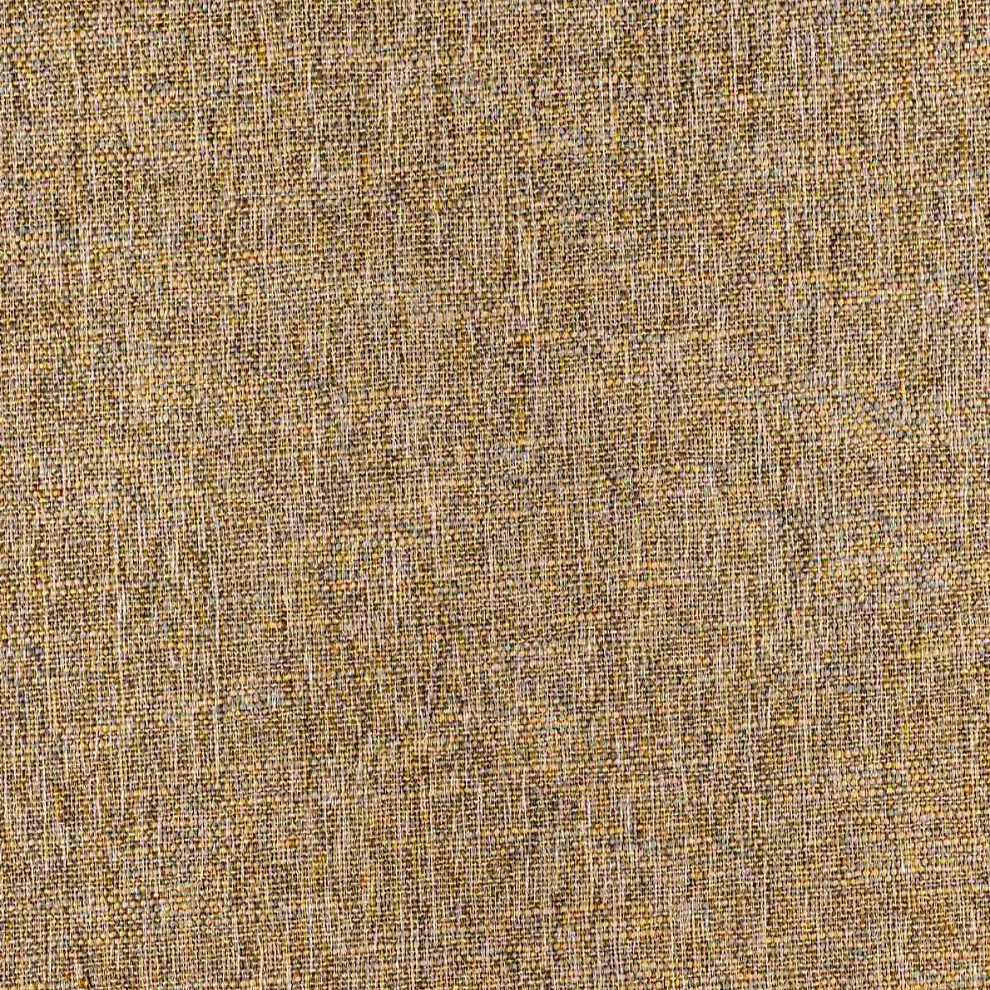 Женева кэмел