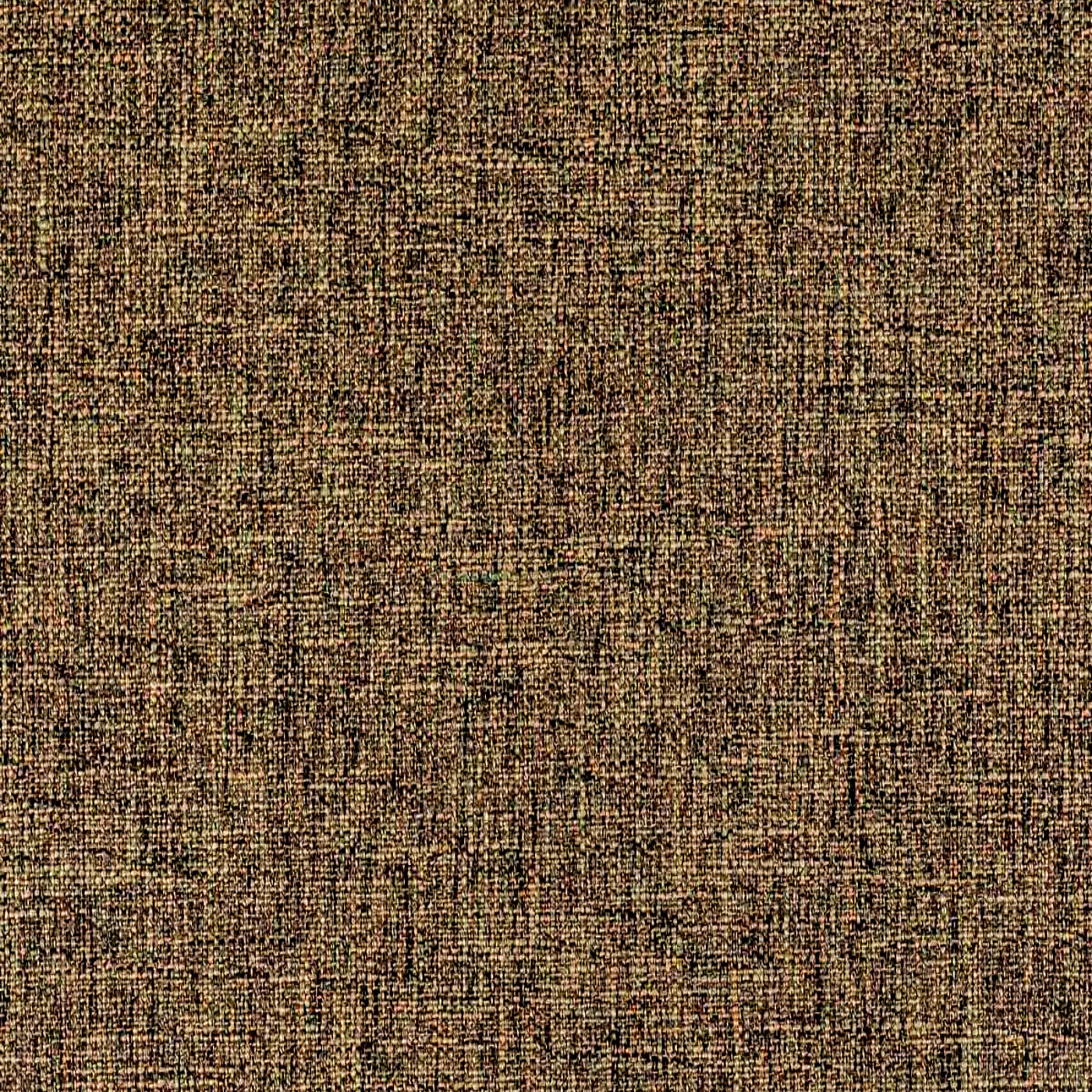 Женева олива