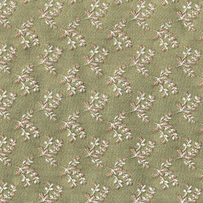 Даира ком нефрит