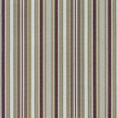 Санрай какао страйп