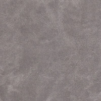 Блис сильвер