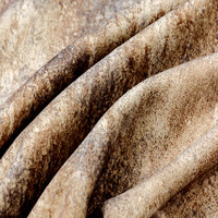 Мустанг камел