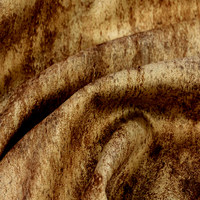 Мустанг санд