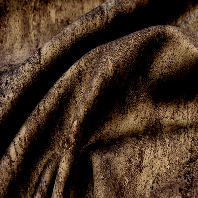 Мустанг каштан