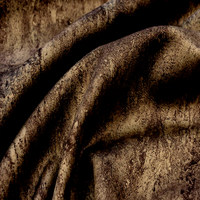 Мустанг каштан