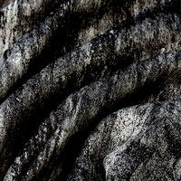 Мустанг стиил