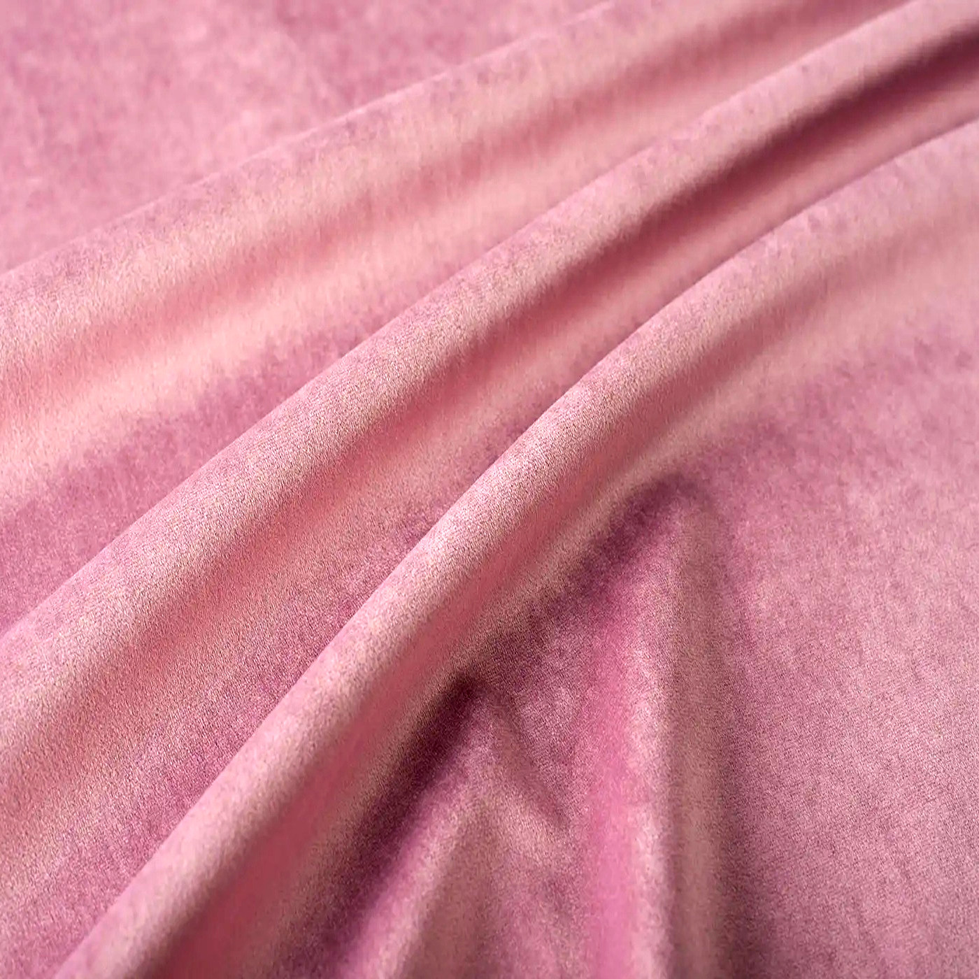 Тенерифе илберберри