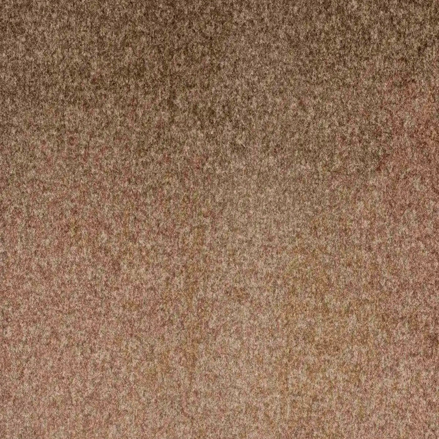 Джерси латте