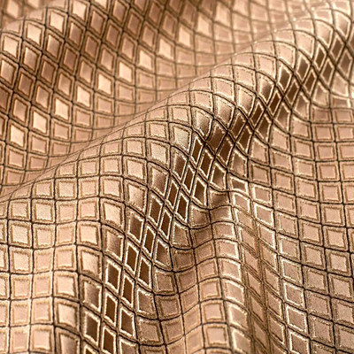 Ватикан корица