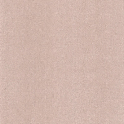 Катания айвори