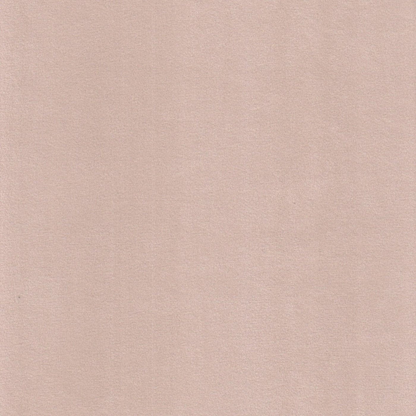 Катания айвори