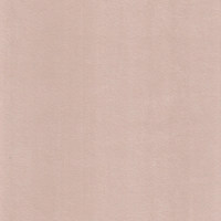 Катания айвори