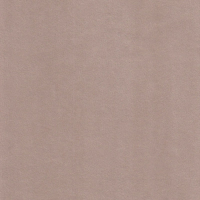 Катания хумус