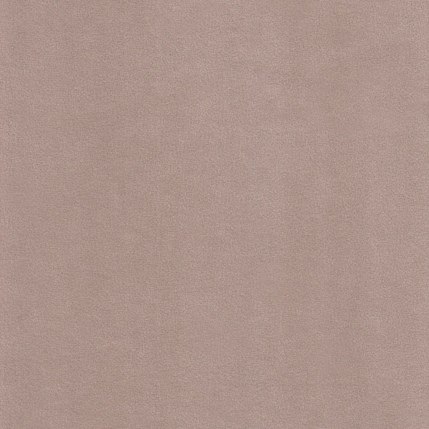 Катания хумус