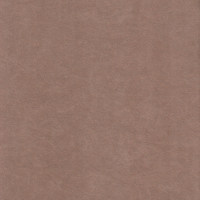 Катания латте