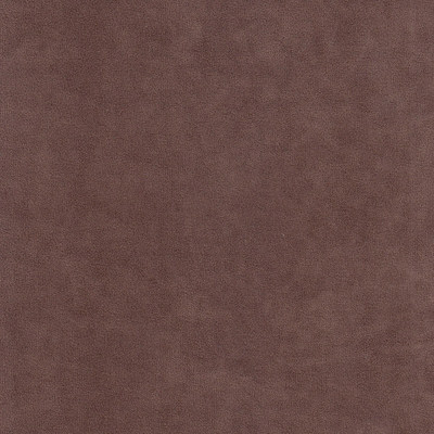 Катания кориза