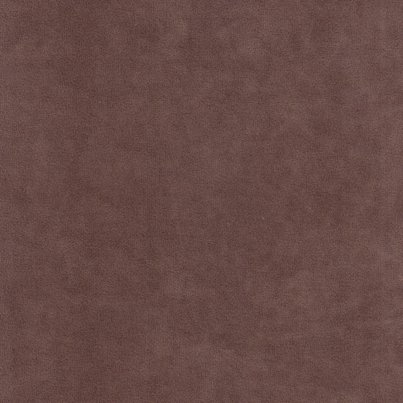 Катания кориза