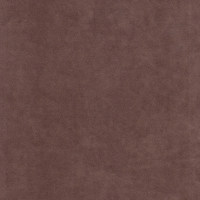 Катания кориза