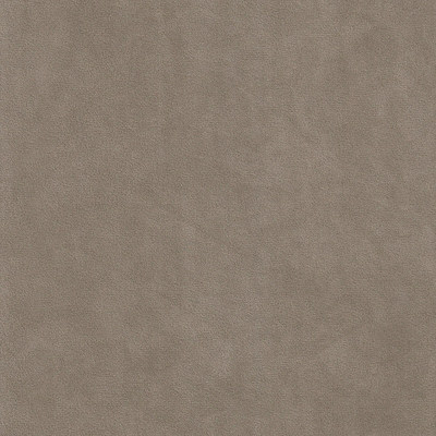 Катания какао