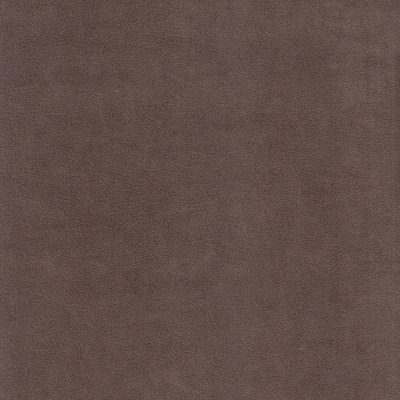 Катания мокко