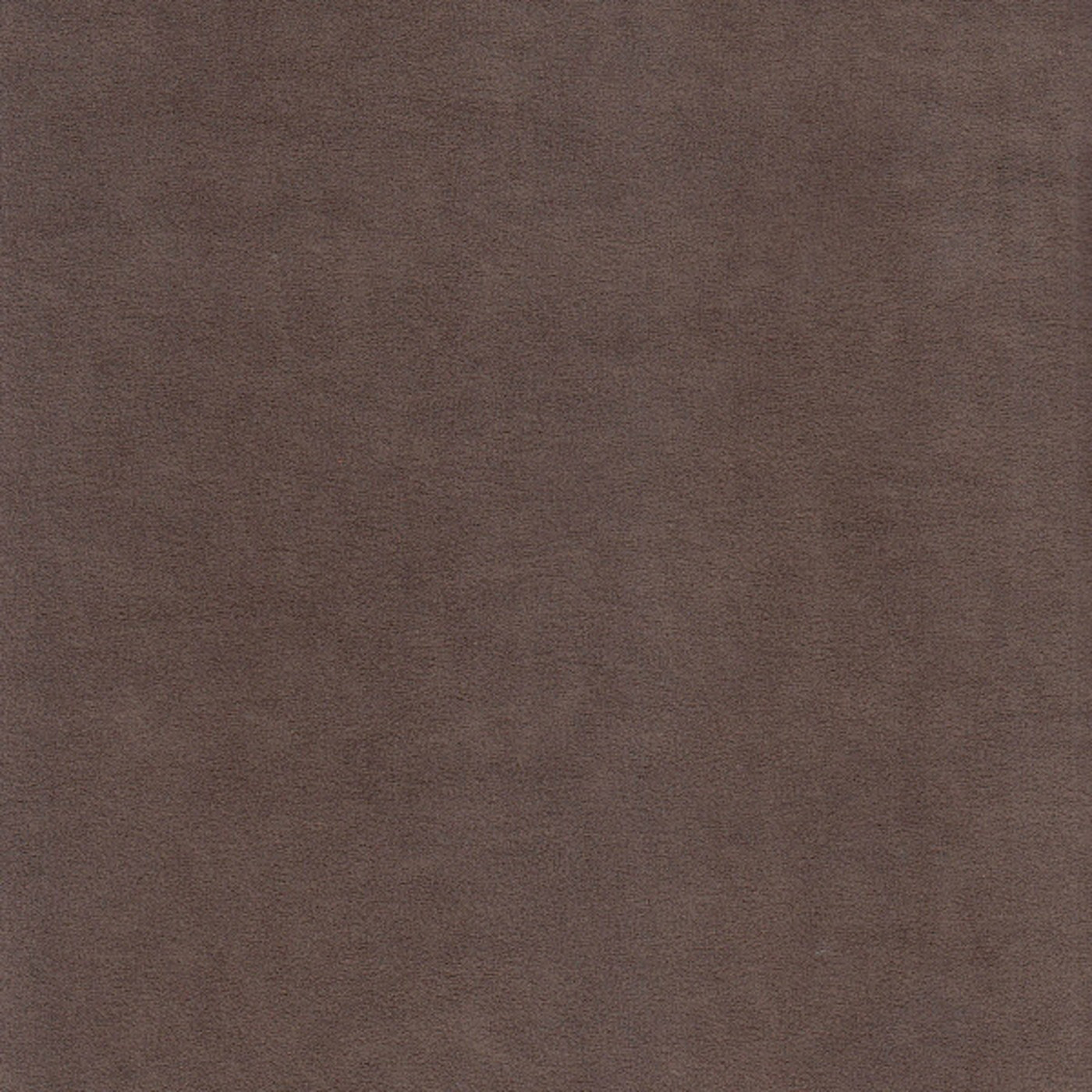 Катания мокко