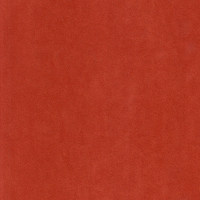 Катания флейм