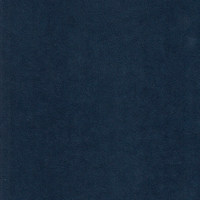 Катания дарк блю