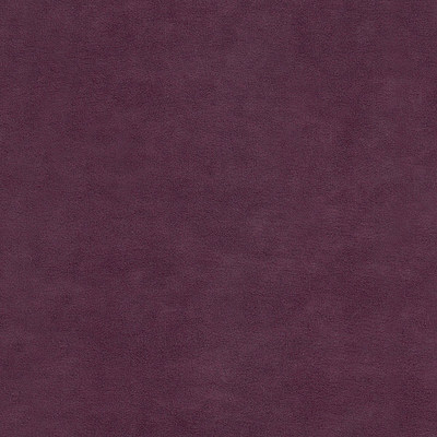 Катания плюм