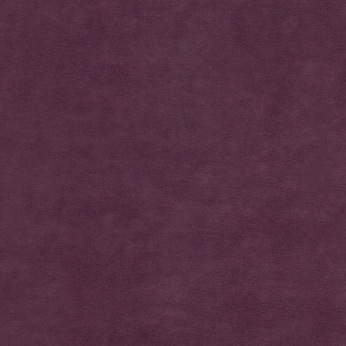 Катания плюм