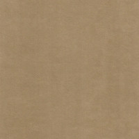 Катания камел