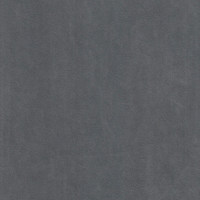 Катания сильвер