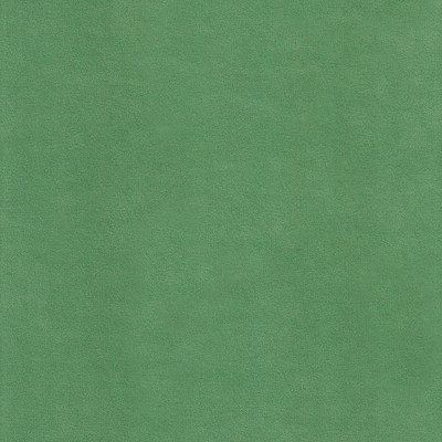 Катания минт