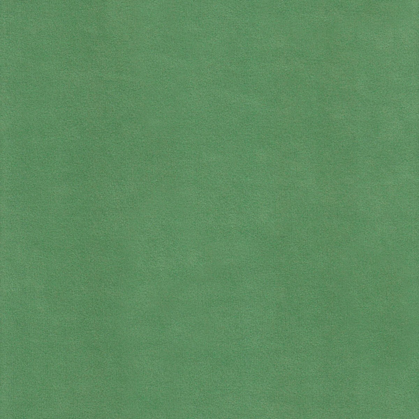 Катания минт