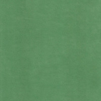 Катания минт