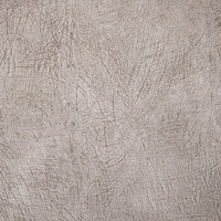 Скин 02 (светло-бежевый)