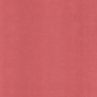 Катания корал