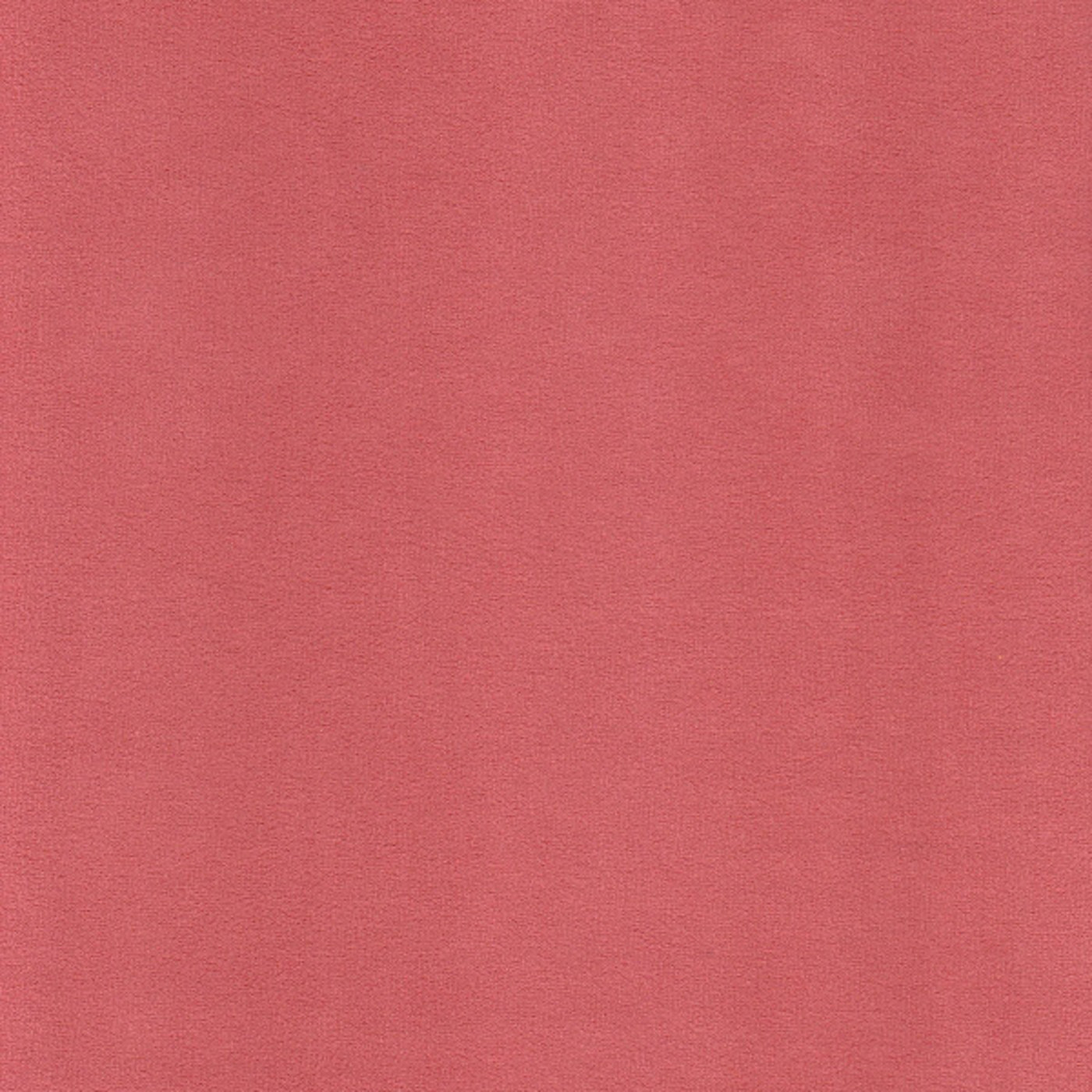 Катания корал