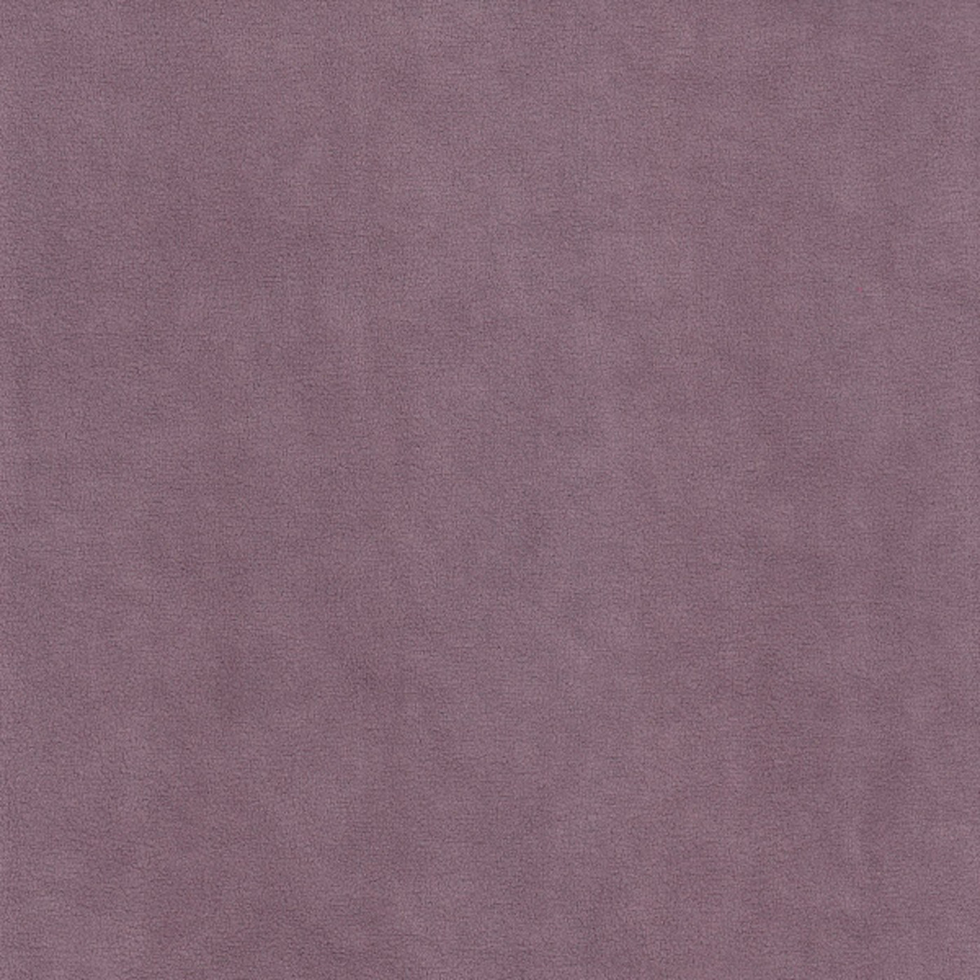 Катания мист лавандер