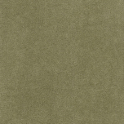 Катания форест