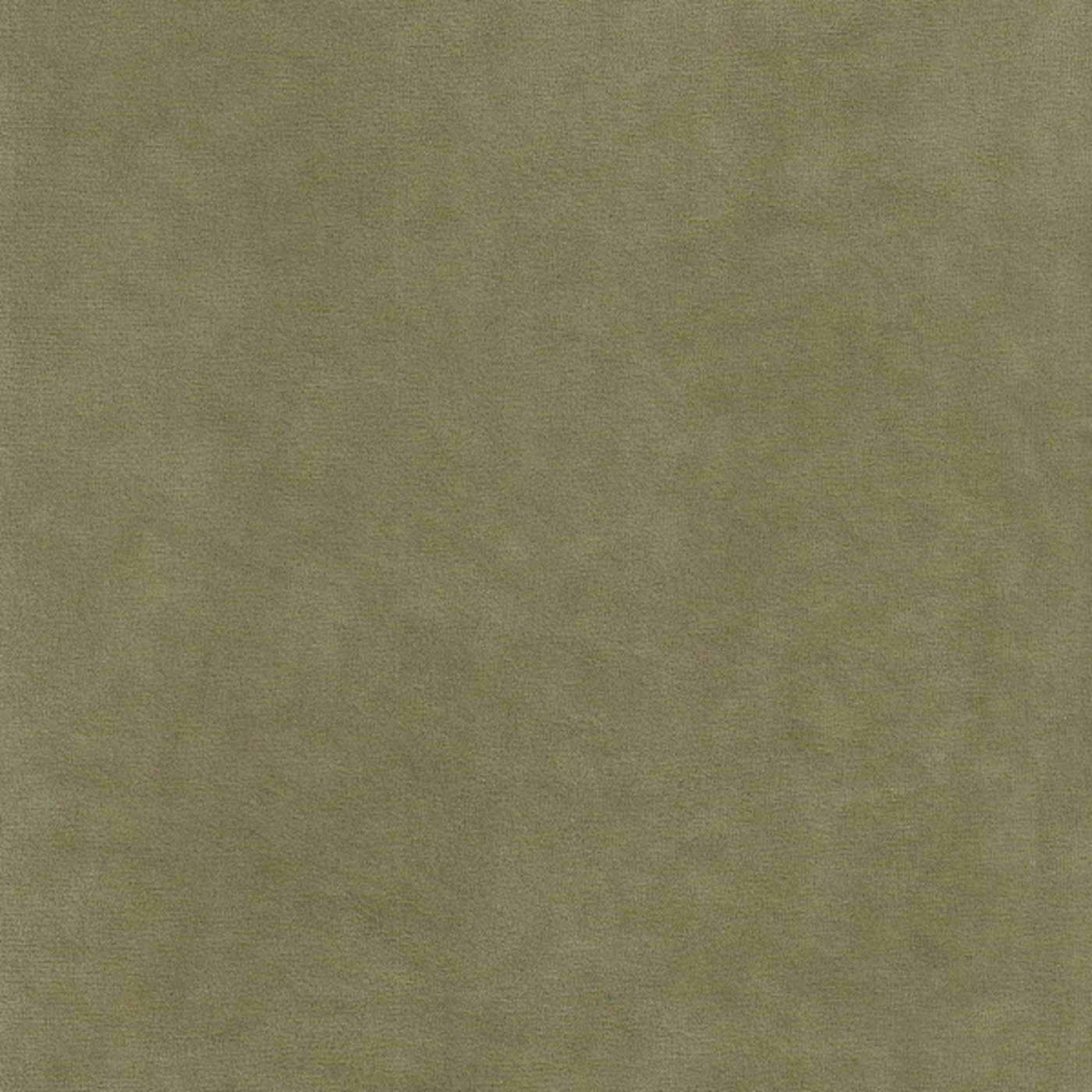 Катания форест