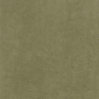 Катания форест