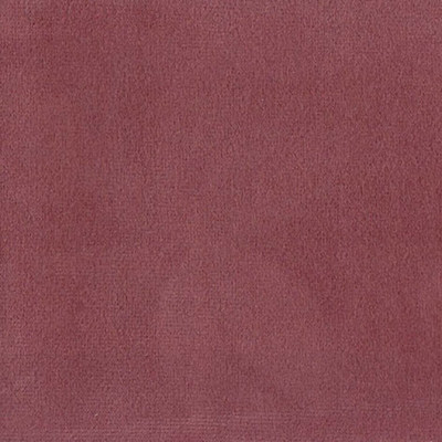 Колибри берри